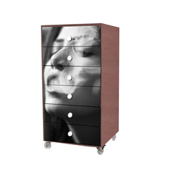 Cassettiera per la Casa